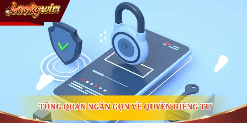 Tổng quan ngắn gọn về quyền riêng tư, giúp người chơi hiểu rõ